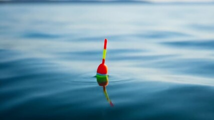 Bright fishing float bobbing on the calm blue water surface with gentle morning ripples - Powered by Adobe