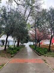 alley in the park
