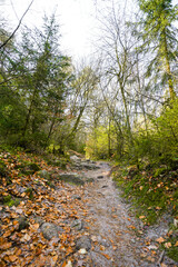 Nature near the Dörenther Cliffs near Ibbenbüren. Landscape in the Münsterland region.
