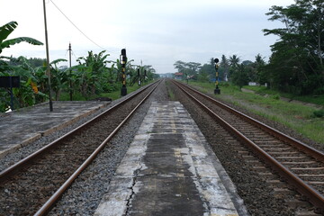 Symmetrical view of dual railway tracks and an empty concrete platform surrounded by banana trees...