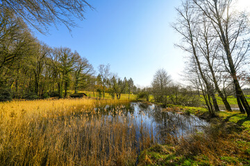 Nature near the Dörenther Cliffs near Ibbenbüren. Landscape in the Münsterland region.
