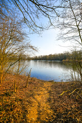 View of the forest lake near Saerbeck and the surrounding landscape. Nature in winter near the Saerbeck bathing lake.
