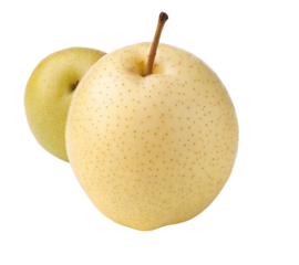 Fresh Asian pear fruit isolated against black background with visible details and ripe appearance