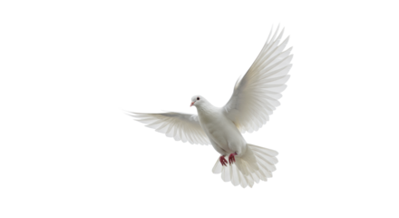 transparent dove soaring mid-flight, wings spread, captured in photorealistic studio photography against an infinite transparent background, concept of freedom and new beginnings