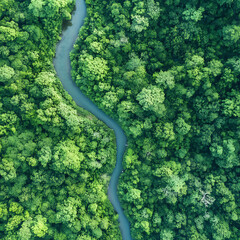 Aerial View of Winding River Meandering Through Dense Green Forest, Scenic Natural Landscape