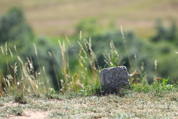 Stone marker in a field with tall grass and a blurred landscape in the background on a sunny day.