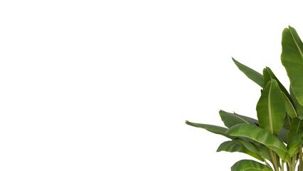 3D Render a plant with a potted plant in it