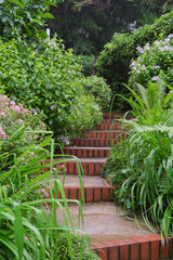 designer garden with lush plants under heavy rain