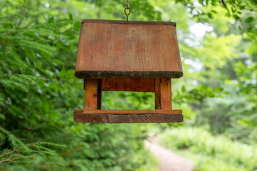 wooden bird feeder in the forest