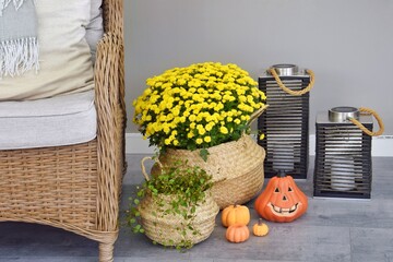 Autumn Composition with Yellow Chrysanthemums