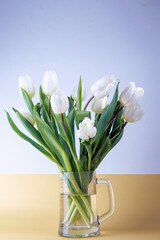 bouquet of white tulips in a glass vase on a light background