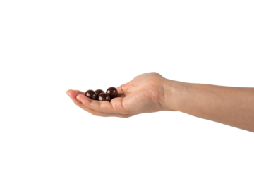 Chocolate ball in hand on transparent background