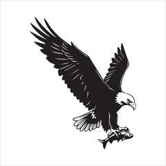 Obraz premium Adobe Illustrator Artwork