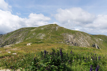  Trail to the Mountain Peak