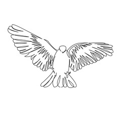 One continuous single drawing line art flat doodle dove, bird, pigeon, animal, wing, peace. Isolated image hand draw contour on a white background
