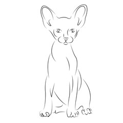 One continuous single drawing line art flat doodle animal, pet, cat, sphinx, feline. Isolated image hand draw contour on a white background
