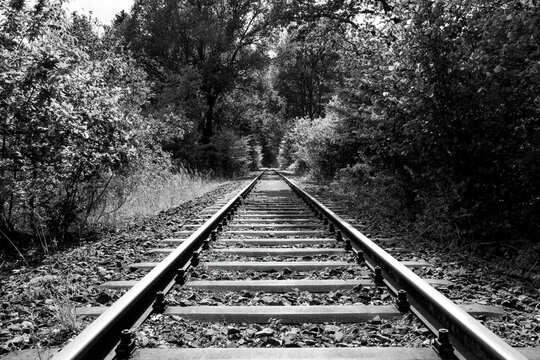 A lonely abandoned railway line between Halver and Oberbr&uuml;gge (Sauerland, Germany). Straight tracks in the middle of the forest on a summer day. High-contrast black-and-white vintage photograph.