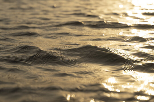 View of sun-kissed water ripples reflecting golden light, creating a shimmering surface, a tranquil scene of serenity and natural beauty, Lamu, Kenya.