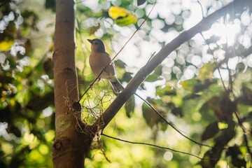 Dramatic coastal cliffs, lush mountains, volcanic landscapes, and endless ocean views — Madeira offers stunning natural scenery at every turn