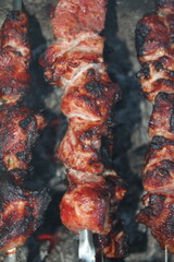 shish kebab on the grill