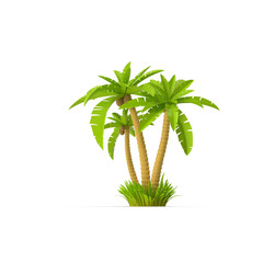 Obraz premium Tropical Palm Tree Isolated on Transparent Background