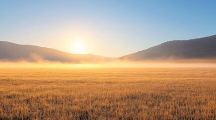 Obraz premium Sunrise over a golden meadow