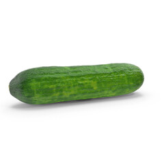 Fresh Whole Cucumber Isolated on Transparent Background