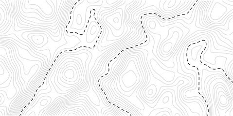 Vector contour topographic map background. Topography and geography map grid abstract backdrop, Modern design with White background