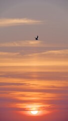 Dramatic Sunset Sky with Bird Silhouette against Colorful Clouds and the Setting Sun Perfect for Nature Lovers