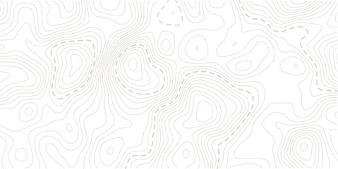 Topographic map pattern background vector. Abstract mountain terrain map background with abstract shape line texture. Design illustration for wall art, fabric, packaging, web, banner, wallpaper.