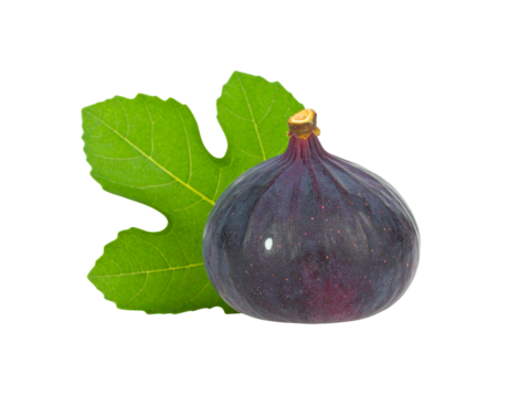 A single ripe purple fig with a fresh green leaf and visible stem.