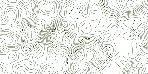 Topographic contour lines. Seamless pattern with lines Topographic map. Abstract curve grid map and topo contour map white background