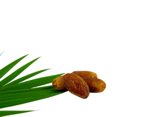 A small pile of sweet dried date fruits with glossy wrinkled skin resting on a vibrant green palm frond.
