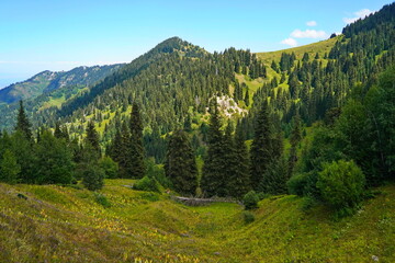 Obraz premium Ile-Alatau National Park. A mountain gorge with different vegetation.