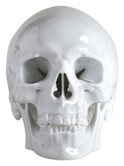 Obraz premium PNG Funny plastic skull sculpture porcelain clothing.