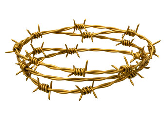 Fototapeta premium Barbed Wire Circle: Abstract Metal Texture