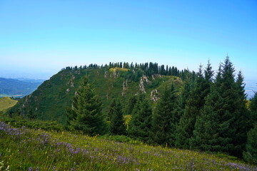 Ile-Alatau National Park. A mountain gorge with different vegetation.