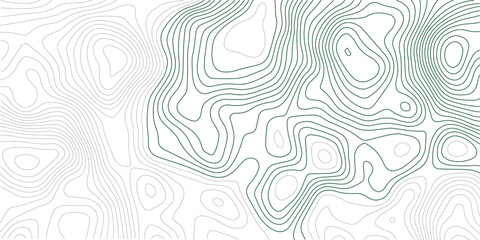  Abstract curve grid map and topo contour map white background. Seamless pattern with lines Topographic map. Abstract topo contour map on white background
