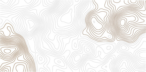  Abstract curve grid map and topo contour map white background. Seamless pattern with lines Topographic map. Abstract topo contour map on white background
