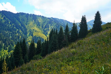 Ile-Alatau National Park. A mountain gorge with different vegetation.