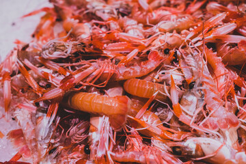 Gambas frescas. Pescadería. 