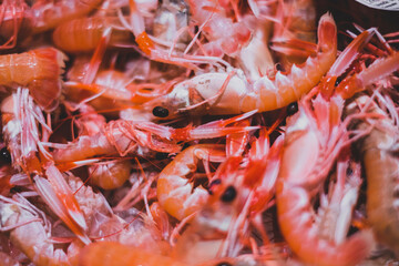 Marisco fresco en la pescadería. Gamba roja de Palamós en la parada del mercado. 