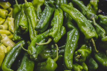 BIchos, pimiento verde en el mercado. 