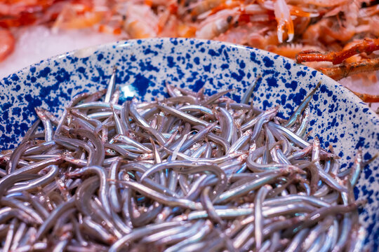 Sonsos frescos. Pescadito de verano y gambas rojas. 