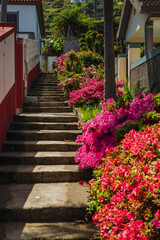 Dramatic coastal cliffs, lush mountains, volcanic landscapes, and endless ocean views — Madeira offers stunning natural scenery at every turn