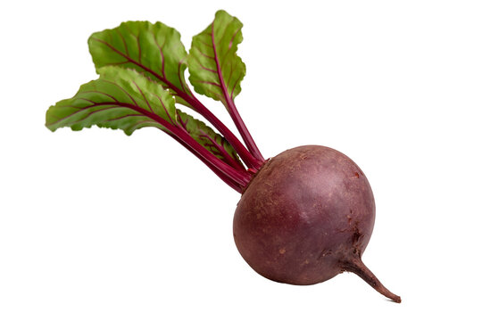 Fresh organic beetroot with green leaves isolated on transparent background. Healthy raw vegetable, rich in antioxidants and vitamins, perfect for cooking, juicing