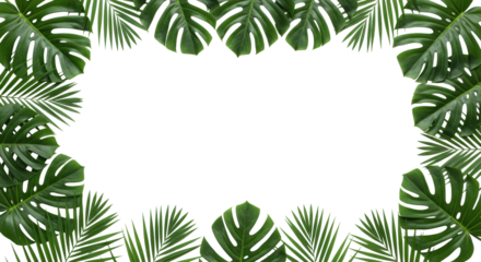 Pristine green tropical palm leaves, flat lay top-down studio shot on white with central copy space, soft diffused lighting, macro detail, natural purity and clean design aesthetic.