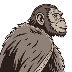 Fototapeta premium Illustration of a chimpanzee isolated on white background