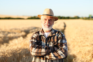 Senior farmer in field with ripe wheat outdoors