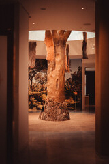 Travelling around Porto. Seeing some museums. ENjoying the life of Porto